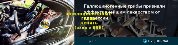 экстази Бородино