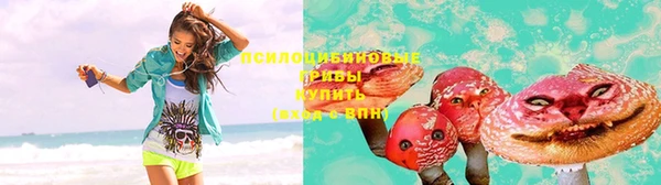 эйфоретик Богородицк