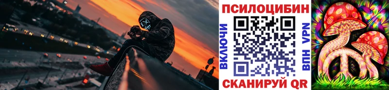 Псилоцибиновые грибы прущие грибы  darknet какой сайт  Железноводск 